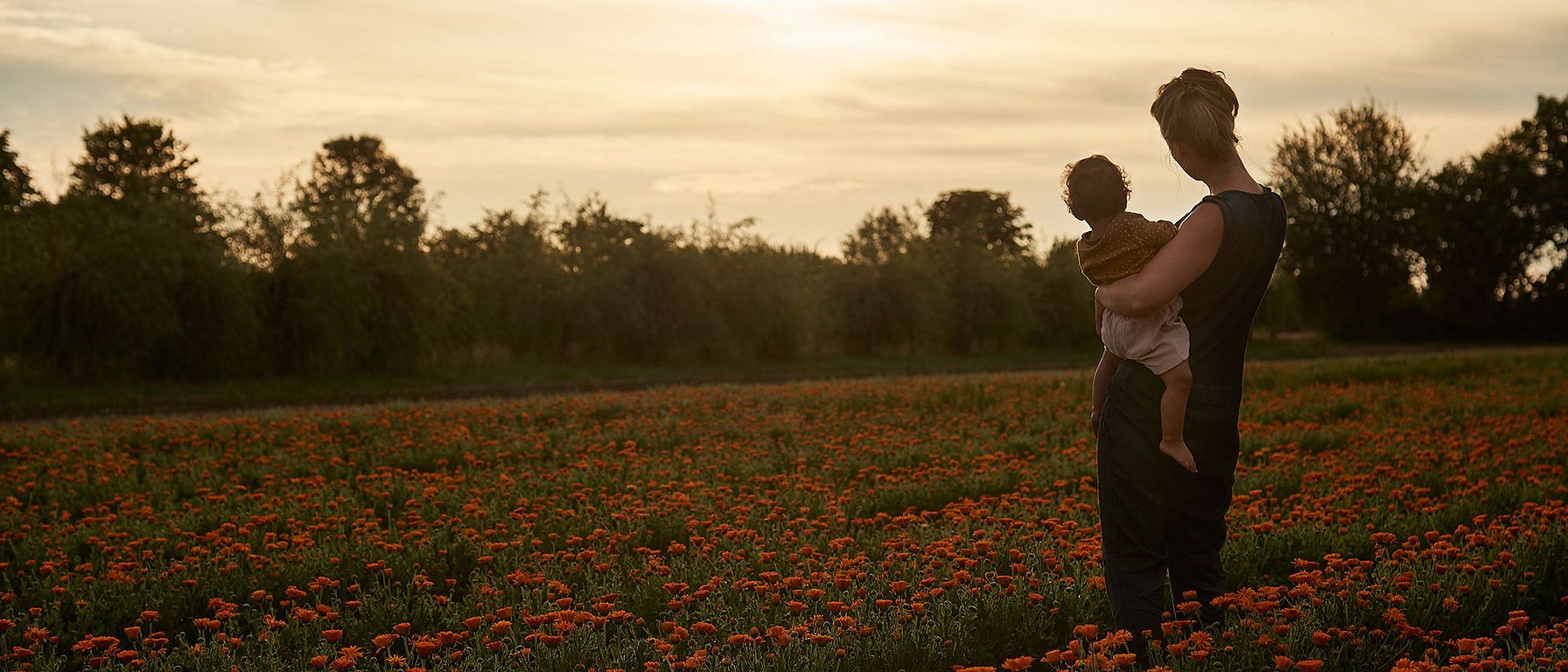 mutter mit kind in einem calendula feld