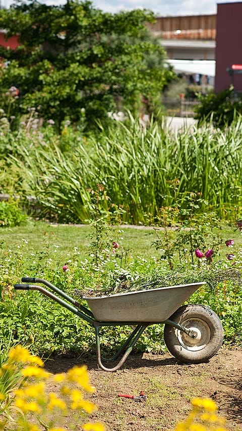 schubkarre im weleda garten