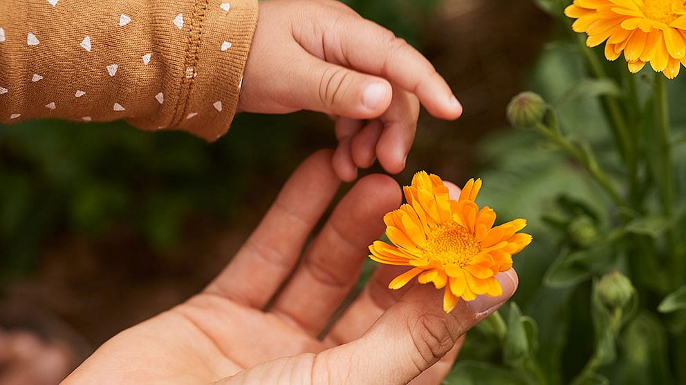 haende von mutter und kind